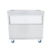 Mobile Ice Cart - 800mm