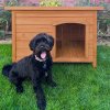 Dog Kennel - Small