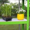 Polytunnel Greenhouse Walk In Galvanised Racking Windows Doors Growhouse PE Cover Gardening Metal Frame Outdoor Storage Garden Tent Vegetable Flower Plant 25mm Diameter | 3 x 2m