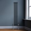 Traditional 2 Column Radiator 1500mm x 202mm Modern Central Heating Heater Matt Anthracite Grey Carbon Steel Vertical Wall Mounted Kitchen Living Room Bathroom Cleaning Brush Fixing Kit & Brackets