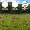 Electric Poultry Netting 50m Roll Fencing Fence & Posts Conductive Hotline Hot Gate Chicken Hen Geese Turkey Net Mesh 11 Wires 120cm 1.2m High 14 Double Spikes FREE Repair Kit & 10 Ground Spikes