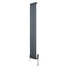 Oval Single Column Radiator & Valves - 1600mm x 240mm - Anthracite Grey