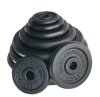 Cast Iron Weight Plates 0.5kg PAIR