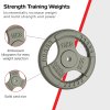 Cast Iron Weight Plates 1