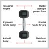Body Revolution Hex Dumbbells 30kg pair