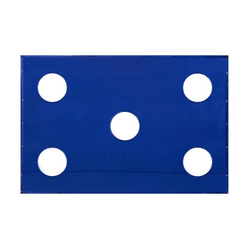 Golf Cage Target Practice Sheet 3m x 2m 5 x 38.5cm Holes Waterproof 210D Oxford Fabric 12 Bungee Cords Lightweight Portable Blue Outdoor Indoor Monster Shop