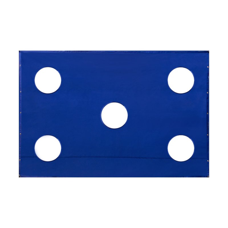 Golf Cage Target Practice Sheet 3m x 2m 5 x 38.5cm Holes Waterproof 210D Oxford Fabric 12 Bungee Cords Lightweight Portable Blue Outdoor Indoor Monster Shop