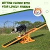 PawHut Wooden Pet Seesaw for Big Dogs, Agility Training Equipment for Dogs with Anti-Slip surface, 180 x 30 x 30cm - Natural