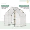 Outsunny Walk-In Greenhouse with Window Roll-Up Door, Portable Garden Grow House with Steel Frame for Vegetable Plant Herb, 180 x 100 x 168cm, White