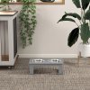 PawHut Raised Dog Bowl Feeding Bowls with Stand for Extra Small and Small Dogs Elevated Pet Bowls Water Food Feeder 44L x 24W x 15H cm - Grey