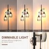 HOMCOM 3-Light Floor Lamp, 170cm Industrial Dimmable Standing Lamp with Steel Wire Cage Lampshades for Living Room, Bedroom, Dining Room, Study, Black