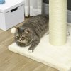 PawHut 83cm Cat Tree, Cat Tower for Indoor Cats w/ Sisal scratching posts, Enlarged Kitten Bed, Ball & String Toy - Cream