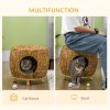 PawHut Wicker Cat House Stool for Rest, Rattan Kitten Bed for Indoor and Outdoor Use, Elevated Pet Bed with Soft Washable Cushion 44 x 43 x 41 cm