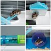 PawHut 5 Tier Hamster Cage, Gerbil Cage with Tube, Water Bottle, Exercise Wheel, Food Dish, 59L x 36W x 69H cm - Blue