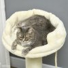 PawHut 83cm Cat Tree, Cat Tower for Indoor Cats w/ Sisal scratching posts, Enlarged Kitten Bed, Ball & String Toy - Cream