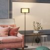 HOMCOM Floor Lamp for Living Room, Modern Standing Lamp with Double Layer Shade & Foot Switch, Minimalist Tall Pole Lampshade for Bedroom, Office, Black