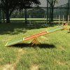 PawHut Wooden Pet Seesaw for Big Dogs, Agility Training Equipment for Dogs with Anti-Slip surface, 180 x 30 x 30cm - Natural