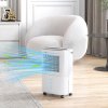 HOMCOM 12L/Day Dehumidifier with Continuous Drainage, 1.6L Water Tank, 24H Timer, Digital Humidity Display, Humidity Light, Dehumidifier for Home Damp, Bedroom, Condensation, Mould, Laundry Drying