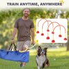 PawHut 4 Piece Dog Agility Training Equipment with 4 Adjustable Width Doors, Carry Bag, Easy to Assemble, Dog Obstacle Course for Garden, Orange