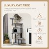 PawHut 148cm Cat Tree for Indoor Cats with Scratching Post, Cat Tower for Two Cats, with Cat House, Bed, Toy, Grey