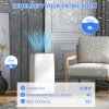 HOMCOM 16L/Day Dehumidifier for Home, Activated Carbon Air Filter, Portable Compressor Dehumidifier with 5.5L Water Tank, 24H Timer, Laundry Drying, Continuous Drainage, Humidity Light, White