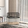 PawHut Hamster Cage, Gerbil Cage 2 Tier with Wheels, Deep Bottom, Ramp, Food Dish, Water Bottle, for Dwarf, Syrian, 57 x 43 x 57cm - Black