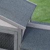 PawHut Wooden Rabbit Hutch Outdoor, Double Tier Guinea Pig Hutch, Small Animal House Water-Resistant Roof Ramp 147 x 54 x 84 cm, Grey