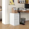 HOMCOM 2 Drawer Filing Cabinet, Vertical File Cabinet with Adjustable Hanging Bar for A4 and Letter Size, Steel Printer Stand for Home Office, Cream White