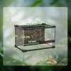PawHut Reptile Glass Terrarium, Reptile Vivarium with Stone Background, Front Ventilation, Escape-Proof Knob Lock, Glass Enclosure for Lizards, Horned Frogs, Snakes, 30 x 20 x 20 cm, Black