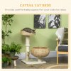 PawHut 72cm Cat Tree for Indoor Cats with 2 Beds, Kitten Tower with Scratching Post, Toy Ball - Beige