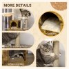 PawHut Cat Tree with Litter Box Enclosure, 2-in-1 Cat Tower for Indoor Cats with Cat House, Scratching Post, Hammock, Cushion, Rustic Brown