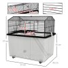 PawHut Hamster Cage, Gerbil Cage 2 Tier with Wheels, Deep Bottom, Ramp, Food Dish, Water Bottle, for Dwarf, Syrian, 57 x 43 x 57cm - Black