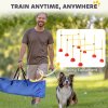 PawHut 4 Piece Agility Training Equipment for Dogs with Height Adjustable Jump Hurdle, Bag, Portable, Easy Assemble Dog Outdoor Obstacle Course for Training
