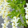 HOMCOM Artificial Realistic White Wisteria Tree Faux Decorative Plant in Nursery Pot for Indoor Outdoor D??cor, 160cm