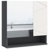 kleankin Bathroom Mirror Cabinet, Wall Mounted Bathroom Storage Cupboard with Adjustable Shelves, 55W x 17D x 55Hcm