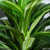 Outsunny 110cm/3.6FT Artificial Dracaena Tree Decorative Plant 40 Leaves with Nursery Pot, Fake Tropical Tree for Indoor Outdoor D??cor