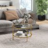HOMCOM Round Coffee Table with Storage, 2-Tier Tempered Glass Coffee Table with Steel Frame for Living Room, Gold Tone