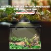PawHut Glass Reptile Terrarium Insect Breeding Tank Vivarium Habitats with Thermometer for Lizards, Horned Frogs, Snakes, Spiders - Large 50 x 30 x 35cm