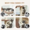 PawHut Cat Tree for Indoor Cats, 88cm Cat Tower with Sisal Scratching Post, Hanging Ball, Large Cat Perch, Stairs, Cat Activity Centre for Kitten, Brown