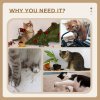 PawHut Cat Tree, 72cm Cat Scratching Post with Bed, Kitty Activity Centre, Cat Climbing Tower with Ball Toy Curved Scratching Pad, Brown