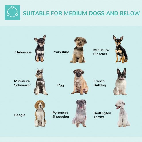 PawHut Foldable Pet Grooming Arm w/ Clamp 30 Inch Height Adjustable, Dog Grooming Loop, Two No Sit Haunch Holders for Small Medium Dogs, Sliver