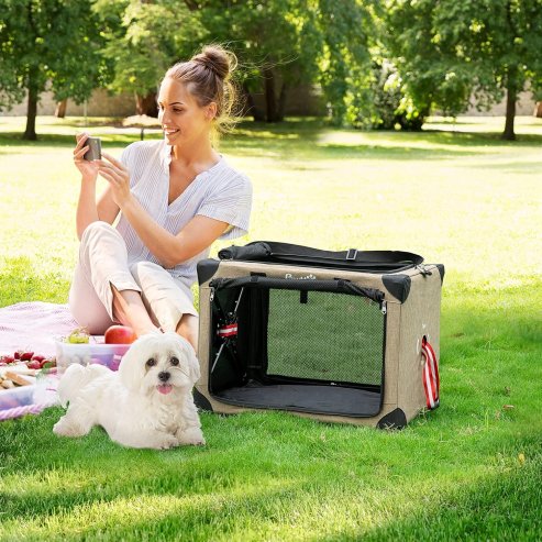 PawHut Foldable Pet Carrier for Small and Miniature Dogs, Portable Cat Carrier Soft Side Pet Travel Crate with Removable Mat, Breathable Mesh - 65 x 45 x 45 cm