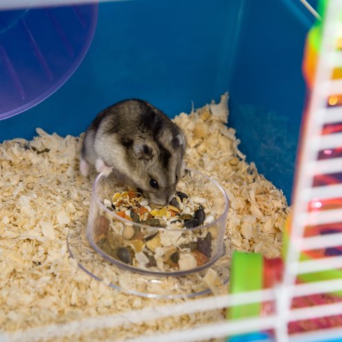 PawHut 5 Tier Hamster Cage, Gerbil Cage with Tube, Water Bottle, Exercise Wheel, Food Dish, 59L x 36W x 69H cm - Blue