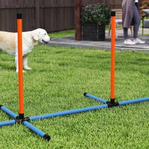 PawHut Dog Agility Equipment, 7-Piece Pet Agility Training Set with Weave Poles, Jump Ring, Hurdle, Pause Box, Bag, Obstacle Training Course Kit, Orange