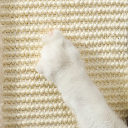 PawHut Cat Scratching Post, 67cm Cat Scratcher with Sisal Scratching Post, Track Ball Toy, Hanging Ball, 3 in 1 Cat Scratcher Post for Indoor Kittens