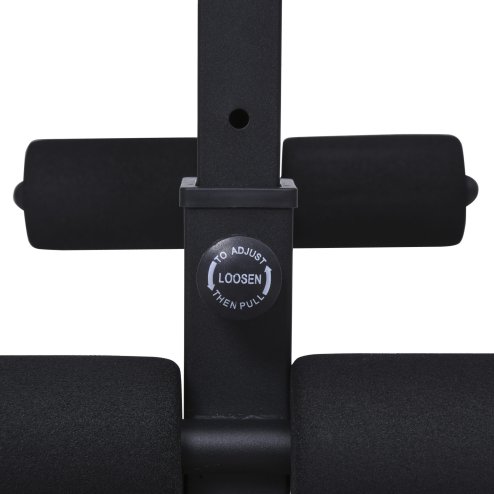 HOMCOM Multi-Functional Dumbbell Weight Bench Adjustable Sit-Up Stand for Home Gym