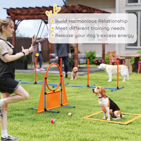 PawHut Dog Agility Equipment, 7-Piece Pet Agility Training Set with Weave Poles, Jump Ring, Hurdle, Pause Box, Bag, Obstacle Training Course Kit, Orange