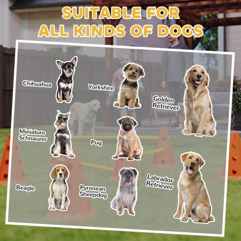 PawHut Dog Agility Set, Portable Pet Jump Training Equipment Kit for Six Cones, Six Poles with Carry Bag, Three-Piece Adjustable Height Jumping Obstacles, Orange