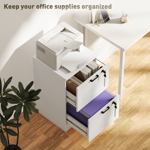 HOMCOM 2-Drawer Filing Cabinet, Lockable File Cabinet for A4, Letter, Office Storage Drawers with Lock for Home Office, 40 x 40 x 71 cm, White