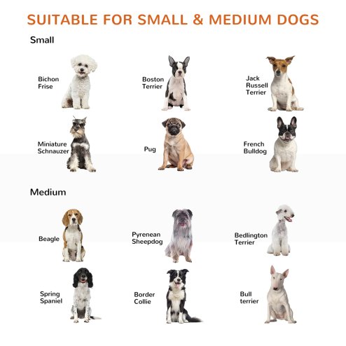 PawHut Freestanding Dog Gate, Foldable Pet Fence, Indoor Barrier, Stair Gate with Support Feet, 155 x 76 cm, White